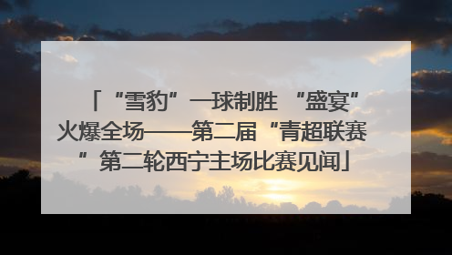 “雪豹”一球制胜 “盛宴”火爆全场——第二届“青超联赛”第二轮西宁主场比赛见闻