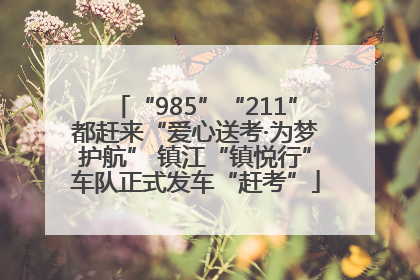 “985”“211”都赶来“爱心送考·为梦护航” 镇江“镇悦行”车队正式发车“赶考”