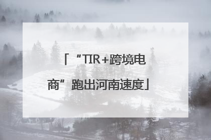 “TIR+跨境电商”跑出河南速度