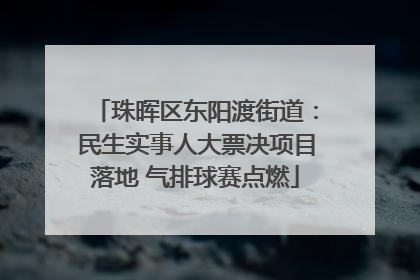 珠晖区东阳渡街道：民生实事人大票决项目落地 气排球赛点燃