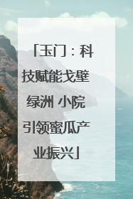 玉门：科技赋能戈壁绿洲 小院引领蜜瓜产业振兴