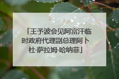 王予波会见阿富汗临时政府代理副总理阿卜杜·萨拉姆·哈纳菲