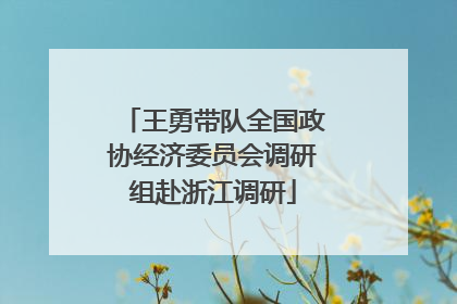王勇带队全国政协经济委员会调研组赴浙江调研
