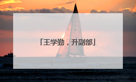 王学勤，升副部