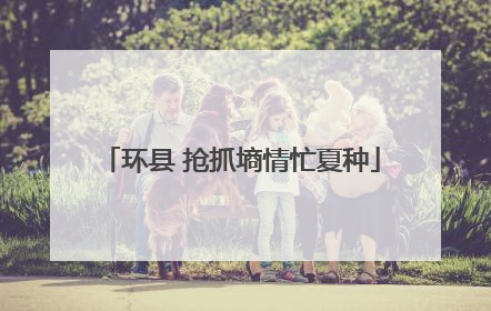 环县 抢抓墒情忙夏种