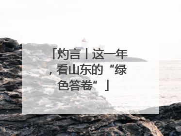 灼言丨这一年，看山东的“绿色答卷”
