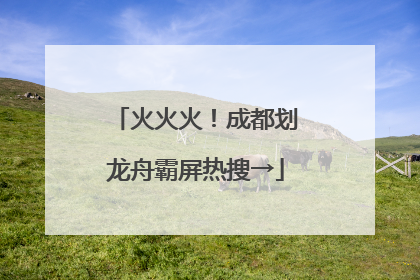 火火火！成都划龙舟霸屏热搜→