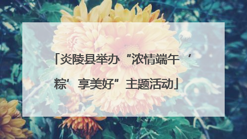 炎陵县举办“浓情端午‘粽’享美好”主题活动