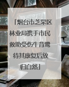 烟台市芝罘区林业局携手市民救助受伤牛背鹭 待其康复后放归自然