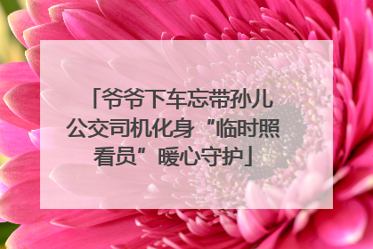 爷爷下车忘带孙儿 公交司机化身“临时照看员”暖心守护