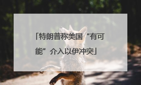 特朗普称美国“有可能”介入以伊冲突