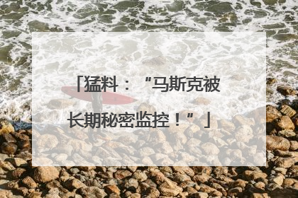 猛料：“马斯克被长期秘密监控！”