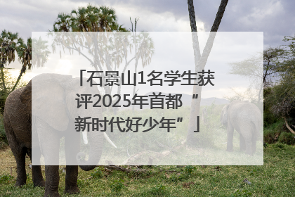 石景山1名学生获评2025年首都“新时代好少年”