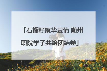 石榴籽聚华夏情 随州职院学子共绘团结卷