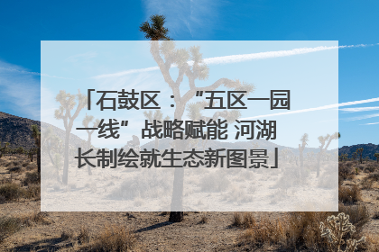 石鼓区：“五区一园一线”战略赋能 河湖长制绘就生态新图景