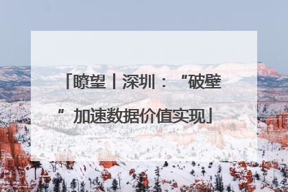 瞭望丨深圳：“破壁”加速数据价值实现