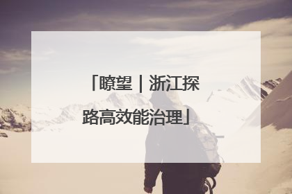 瞭望｜浙江探路高效能治理