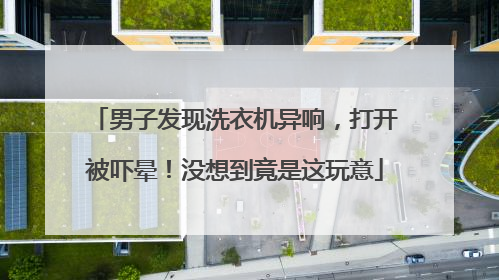 男子发现洗衣机异响，打开被吓晕！没想到竟是这玩意