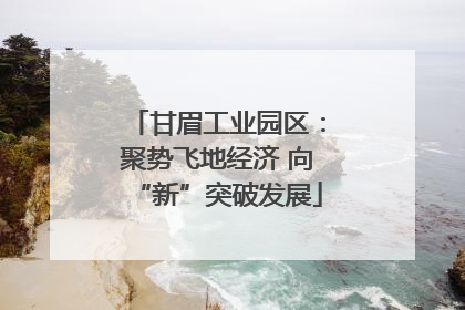 甘眉工业园区：聚势飞地经济 向“新”突破发展
