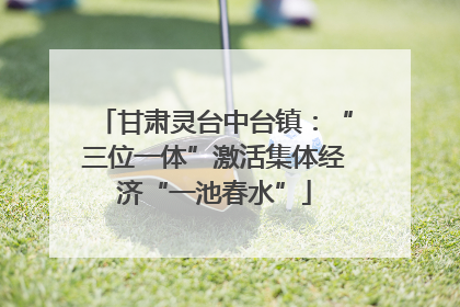 甘肃灵台中台镇：“三位一体”激活集体经济“一池春水”