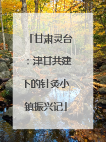 甘肃灵台：津甘共建下的针灸小镇振兴记