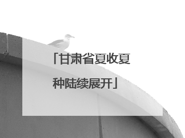 甘肃省夏收夏种陆续展开