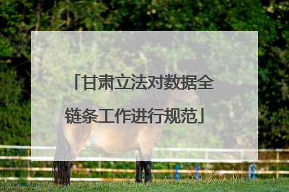 甘肃立法对数据全链条工作进行规范