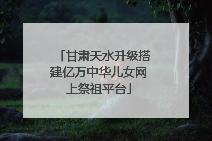 甘肃天水升级搭建亿万中华儿女网上祭祖平台