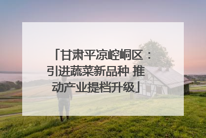 甘肃平凉崆峒区：引进蔬菜新品种 推动产业提档升级