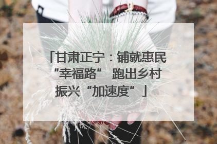 甘肃正宁：铺就惠民“幸福路” 跑出乡村振兴“加速度”