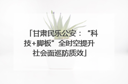 甘肃民乐公安：“科技+脚板”全时空提升社会面巡防质效