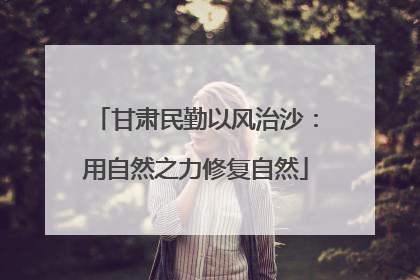 甘肃民勤以风治沙：用自然之力修复自然