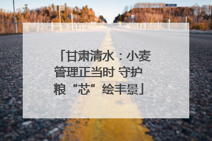 甘肃清水：小麦管理正当时 守护粮“芯”绘丰景