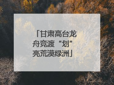 甘肃高台龙舟竞渡“划”亮荒漠绿洲