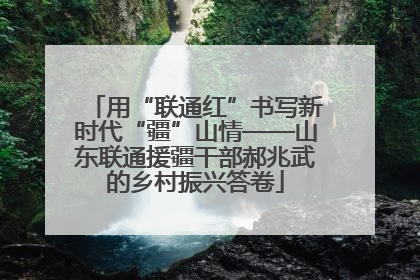 用“联通红”书写新时代“疆”山情——山东联通援疆干部郝兆武的乡村振兴答卷