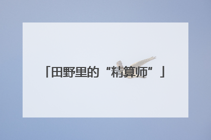 田野里的“精算师”