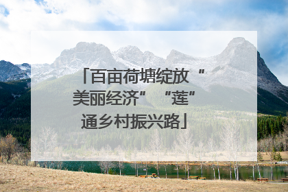 百亩荷塘绽放“美丽经济”“莲”通乡村振兴路