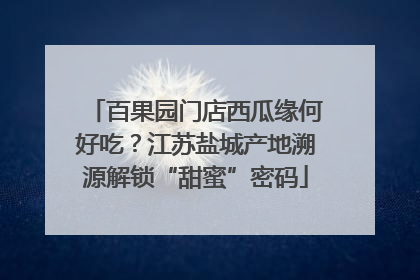 百果园门店西瓜缘何好吃？江苏盐城产地溯源解锁“甜蜜”密码