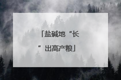 盐碱地“长”出高产粮
