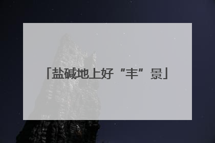 盐碱地上好“丰”景