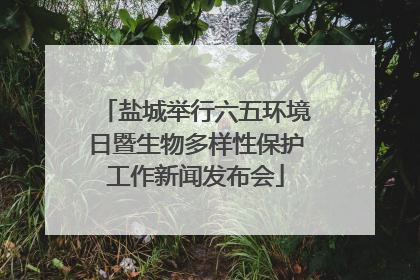 盐城举行六五环境日暨生物多样性保护工作新闻发布会