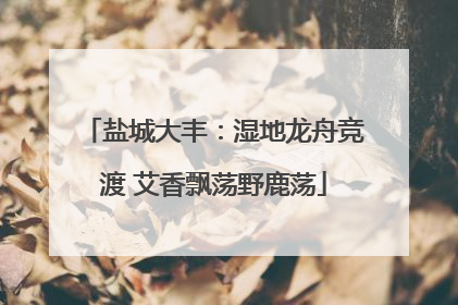 盐城大丰：湿地龙舟竞渡 艾香飘荡野鹿荡