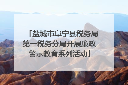 盐城市阜宁县税务局第一税务分局开展廉政警示教育系列活动