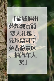 盐城推出苏超观赛消费大礼包，凭球票可享免费游景区、抽汽车大奖
