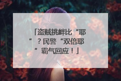 盗贼挑衅比“耶”？民警“双倍耶”霸气回应！