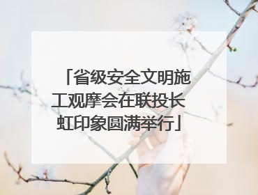 省级安全文明施工观摩会在联投长虹印象圆满举行