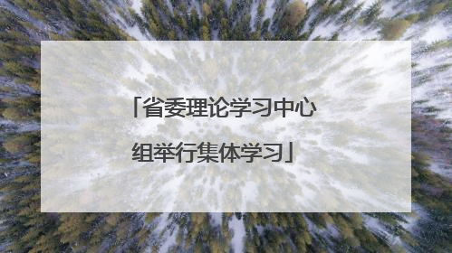 省委理论学习中心组举行集体学习