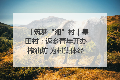 筑梦“湘”村｜皇田村：返乡青年开办榨油坊 为村集体经济“加油”