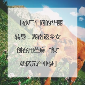 砂厂车间的华丽转身：湖南返乡女创客用苎麻“织”就亿元产业梦