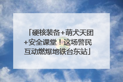 硬核装备+萌犬天团+安全课堂！这场警民互动燃爆地铁台东站